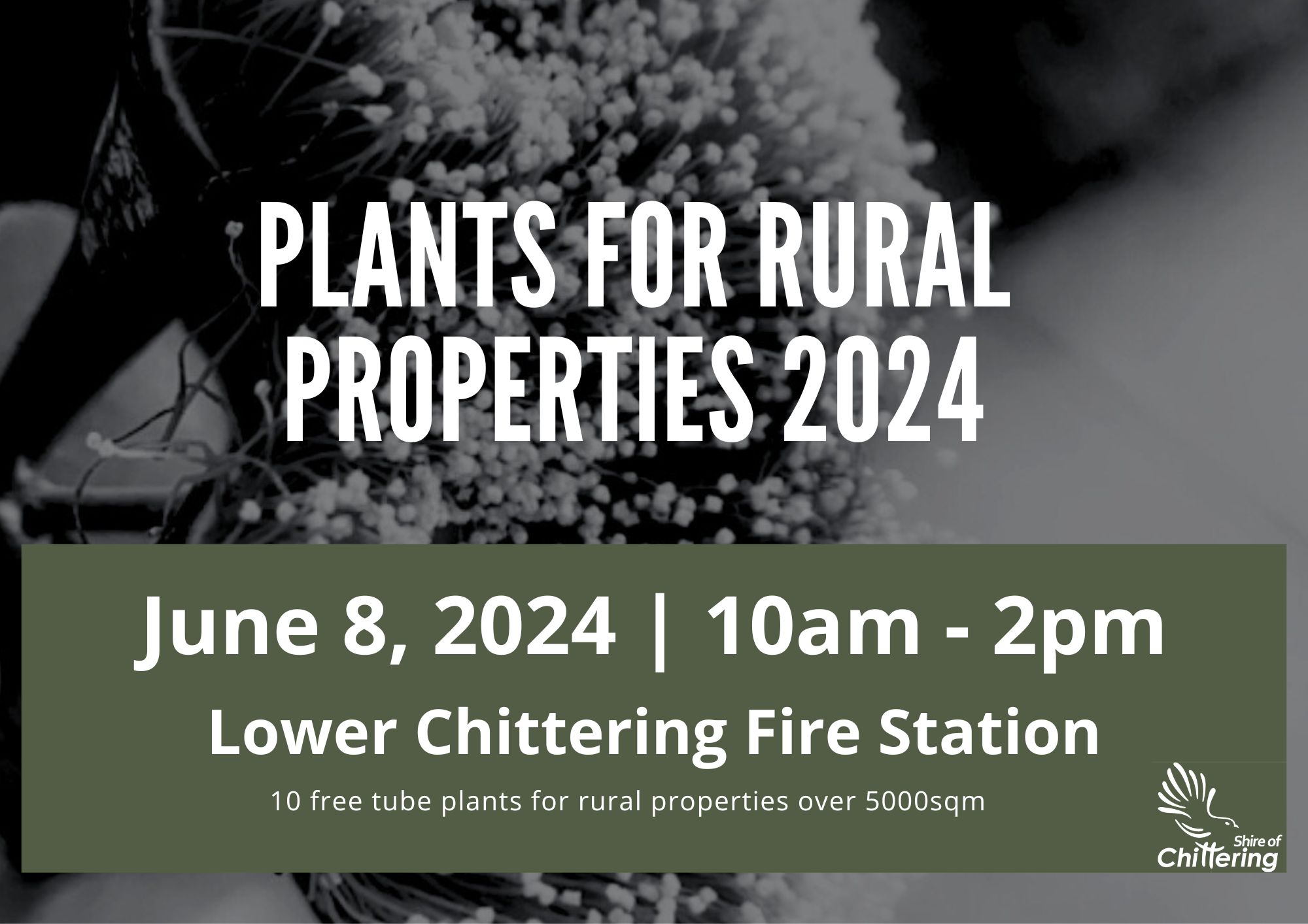 Plants for Rural Properties pick up day