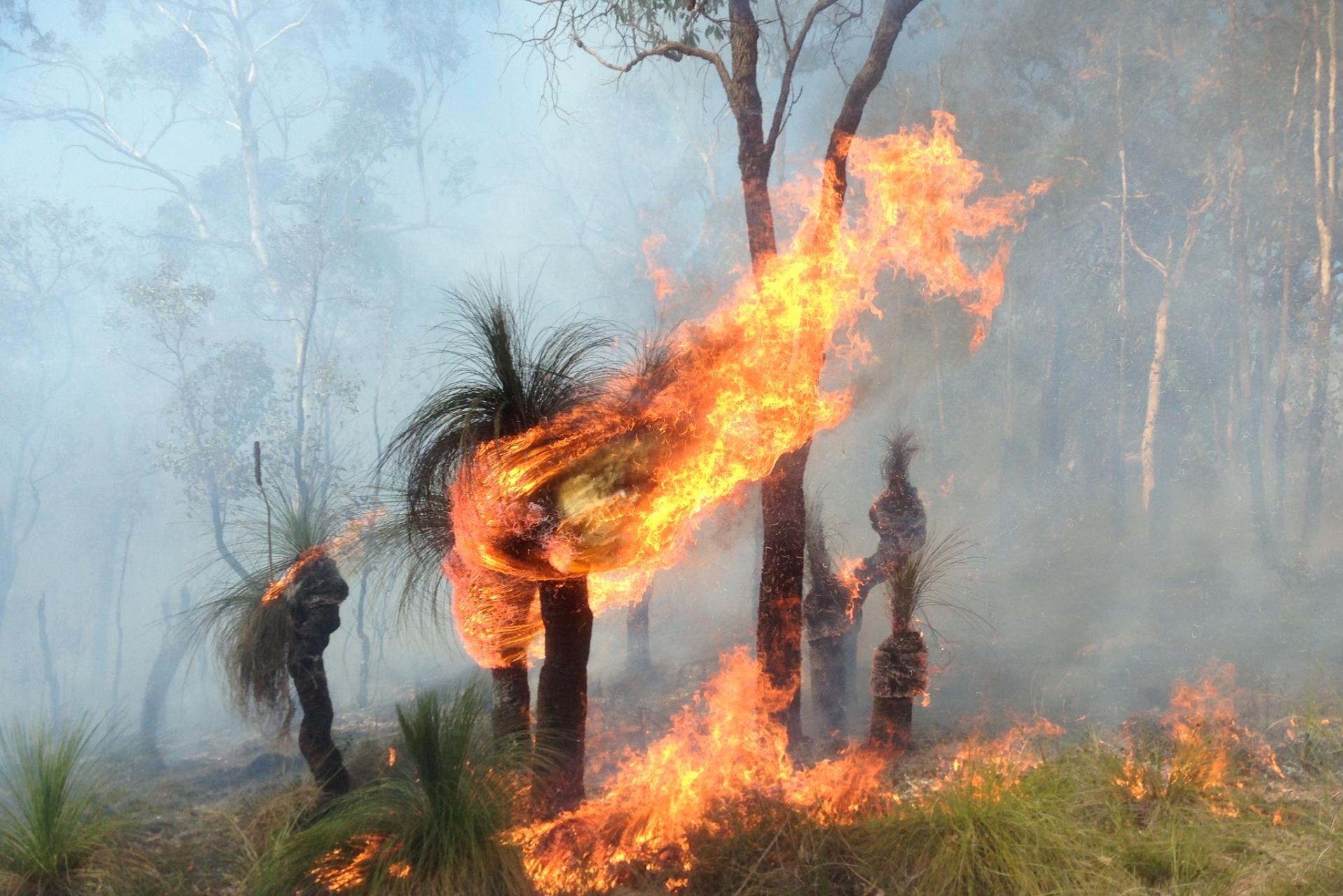 Mitigation Activities - 16th August 2023 and 17th August 2023