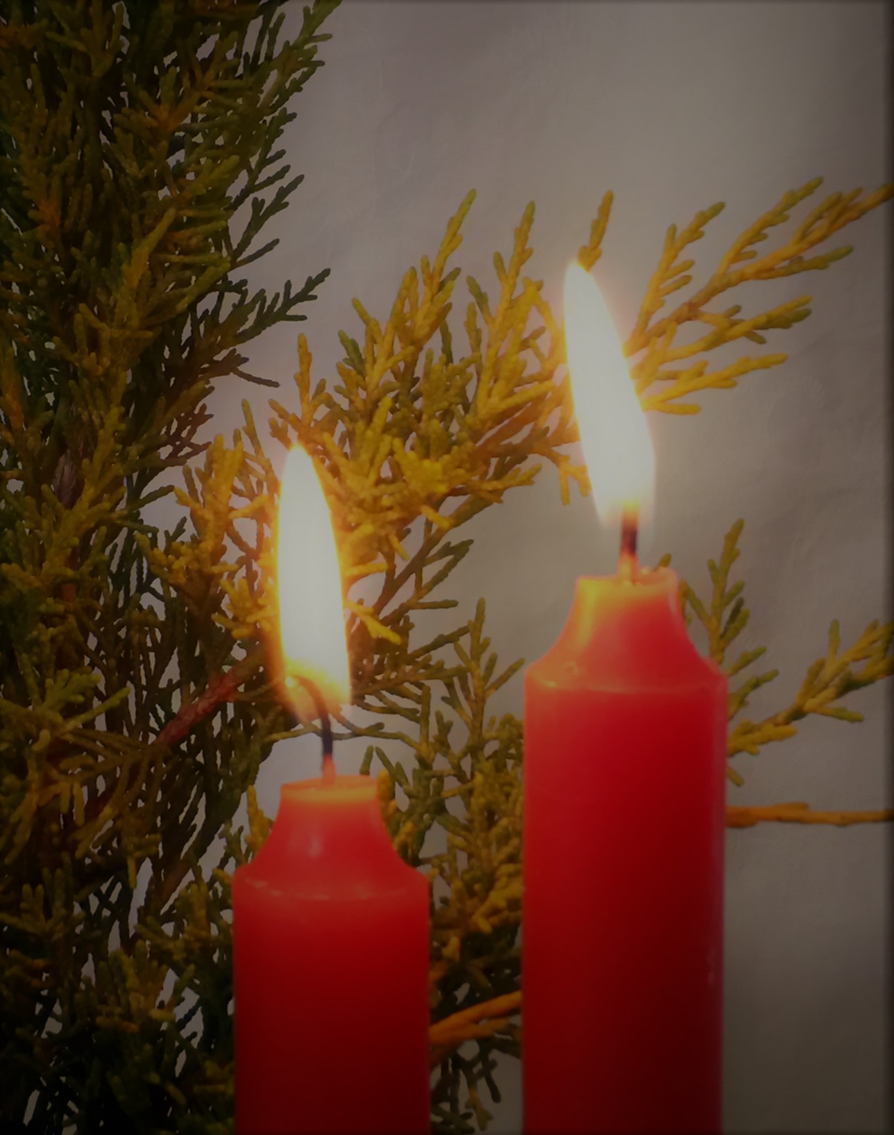 Carols by Candlelight on Christmas Eve at Holy Trinity Church